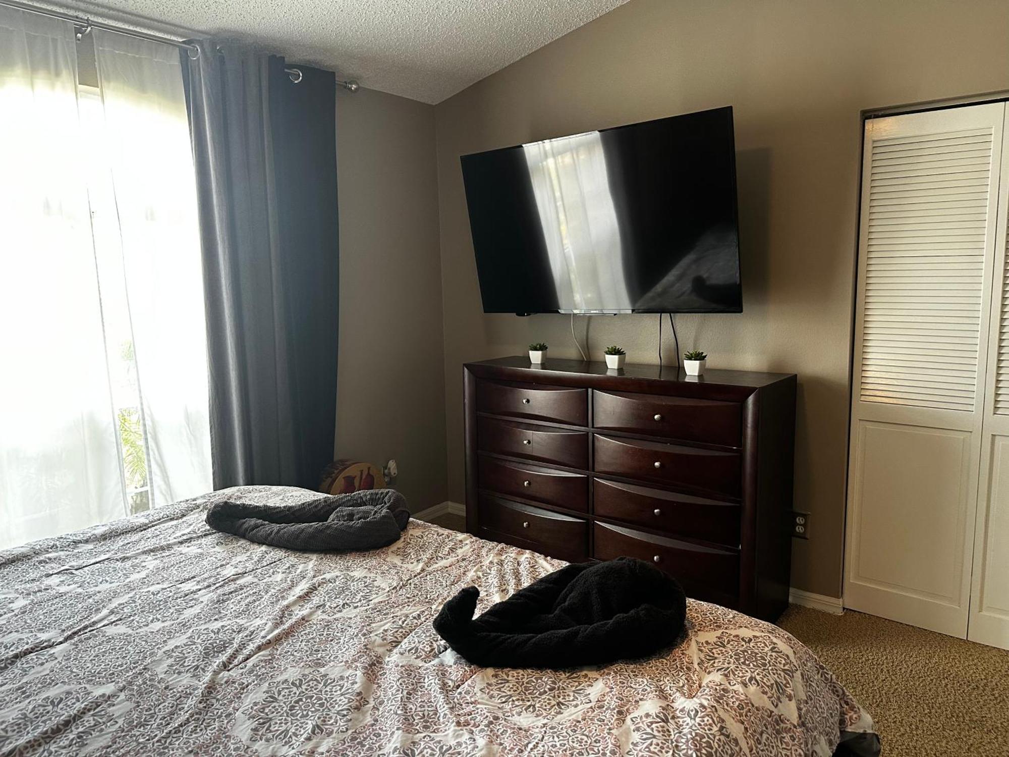 Cozy 3 Bedroom Home Close To Everything In Tampa! Zewnętrze zdjęcie